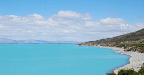 Nz