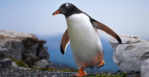 Argentinien mit Do it Education