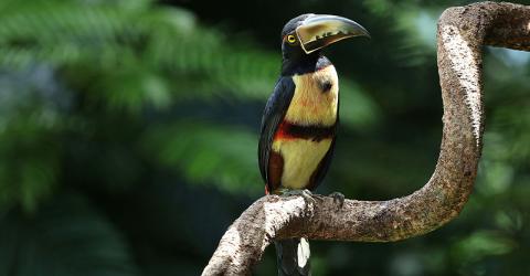 Costa Rica mit Do it Education