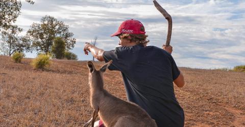 Titelbild Australien