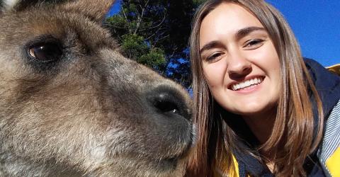 Erfahrungsbericht Kurzzeitaustausch Australien