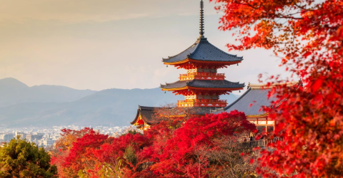 Bucketlist Schüleraustausch Japan