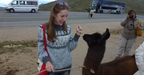 Austauschschülerin Ilka trifft ein Lama in Argentinien, Open Door International e.V.