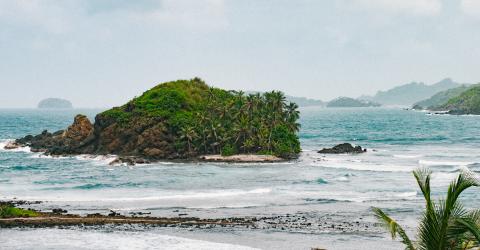 Insel mit Bäumen im Meer