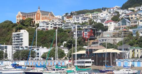 Neuseeland Schulwahl Wellington Programm