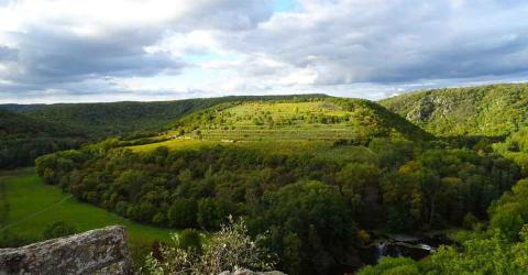 Schüleraustausch: Landschaft in Tsechien