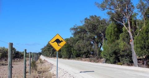 Schüleraustausch Australien: Outback