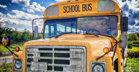 Schüleraustausch in Amerika: Schulbus