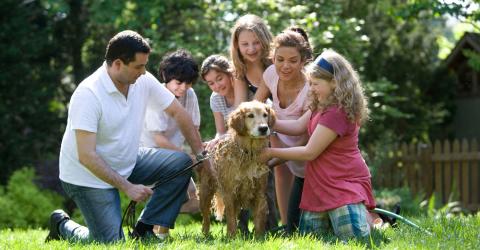 Schüleraustausch: Gastfamilie
