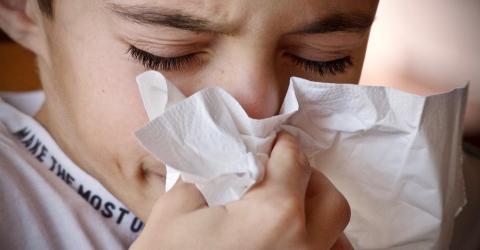 Schüleraustausch mit Allergien 