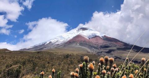 Erfahrungen im Schüleraustausch in Ecuador