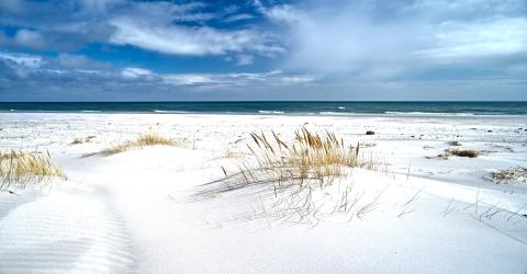 Strand in Dänemark