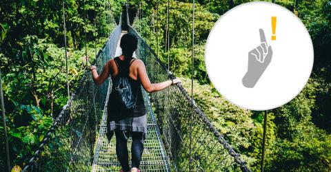 Schüleraustausch: Mädchen auf Hängebrücke im Tropenwald