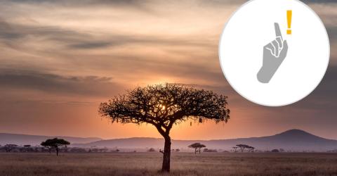 Schüleraustausch - Fettnäpfchenguide Südafrika