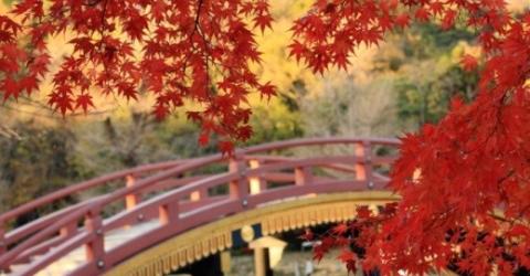 japan2