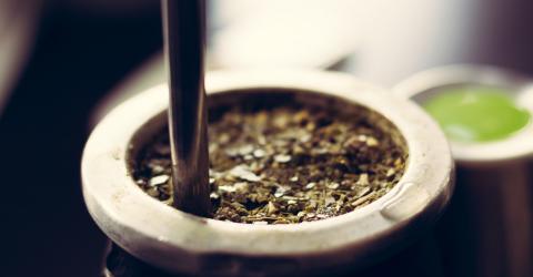 Schüleraustausch Südamerika: Mate Tee