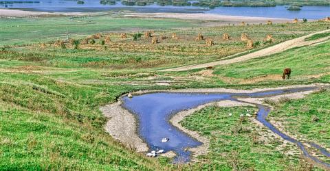Flusslauf und Grüne Wiesen in Moldawien