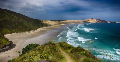 Neuseeland Blick auf den Strand