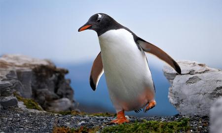 Argentinien mit Do it Education