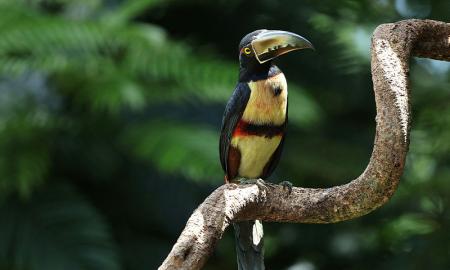 Costa Rica mit Do it Education