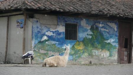 Ecuador Sch&uuml;leraustausch