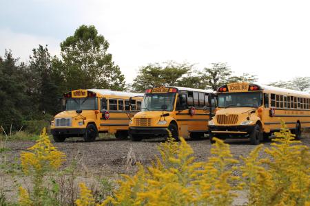 Schulbusse