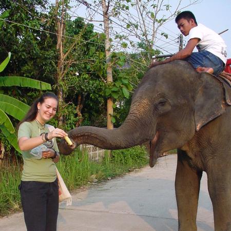 AFSerin Tabea f&uuml;ttert einen Elefanten in Thailand