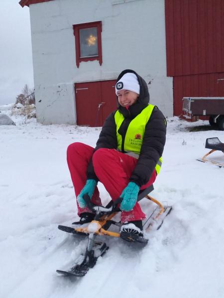 Weihnachten im Schüleraustausch in Skandinavien