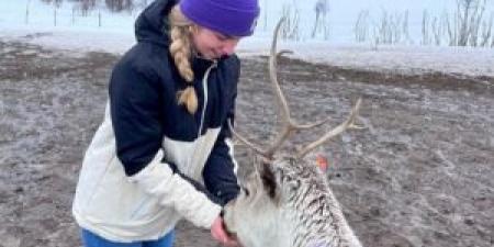 Meine Erfahrungen im Sch&uuml;leraustausch in Norwegen