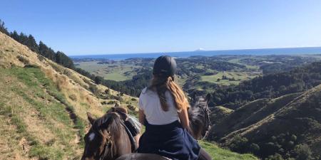 Erfahrungen im Schüleraustausch in Neuseeland Schüleraustausch in Neuseeland