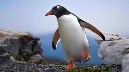 Argentinien mit Do it Education