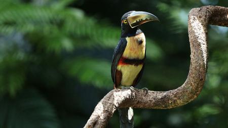 Costa Rica mit Do it Education