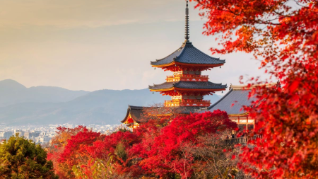 Bucketlist Schüleraustausch Japan