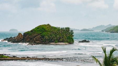 Insel mit Bäumen im Meer