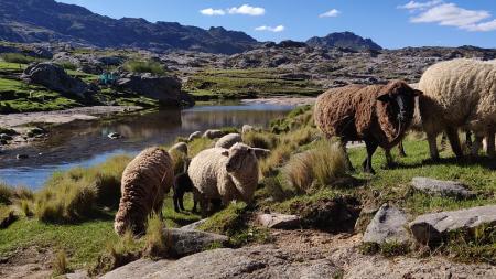 Landschaft in Argentinien