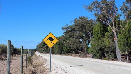 Schüleraustausch Australien: Outback