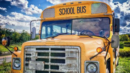 Schüleraustausch in Amerika: Schulbus