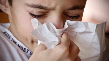 Schüleraustausch mit Allergien 