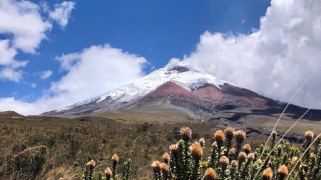 Erfahrungen im Schüleraustausch in Ecuador