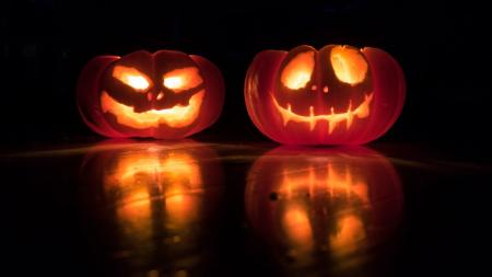 Halloween im Schüleraustausch: geschnitzte Kürbisse