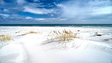 Strand in Dänemark