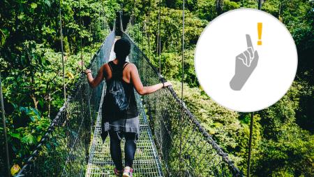 Schüleraustausch: Mädchen auf Hängebrücke im Tropenwald