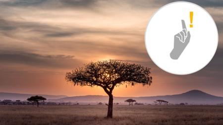 Schüleraustausch - Fettnäpfchenguide Südafrika