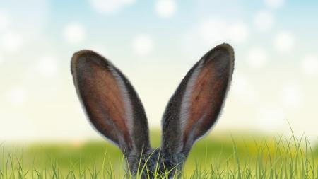 Osterhase im Gras