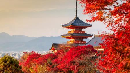 Japan Bild