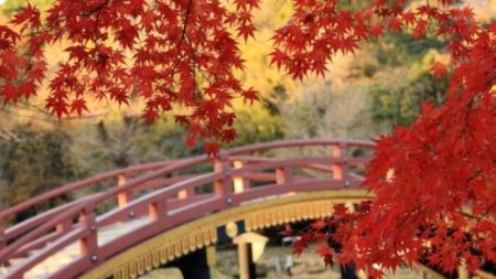 japan2