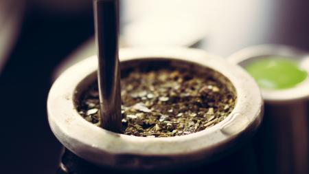 Schüleraustausch Südamerika: Mate Tee