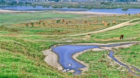 Flusslauf und Grüne Wiesen in Moldawien