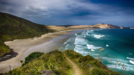 Neuseeland Blick auf den Strand