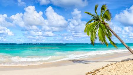 Strand Brasilien
